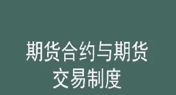 外汇期货合约中标准化规定(外汇期货合约交易的标准化规定)_https://www.londai.com_期货投资_第1张