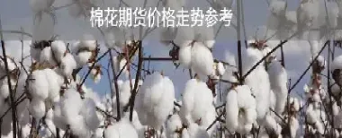 试水棉花期货要注意啥(试水棉花期货要注意啥事项)_https://www.londai.com_期货投资_第1张