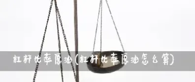 期货怎么计算杠杆率(期货杠杆率是什么意思)_https://www.londai.com_期货投资_第1张