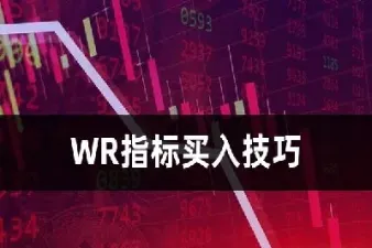 期货wr指标是负数(期货中wr指标为负值)_https://www.londai.com_期货投资_第1张