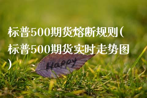 标普500期货熔断规则(标普500期货实时走势图)_https://www.londai.com_期货投资_第1张