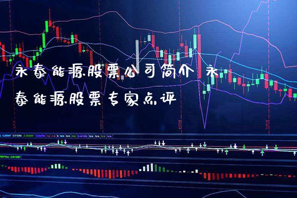 永泰能源股票公司简介 永泰能源股票专家点评_https://www.londai.com_股票投资_第1张