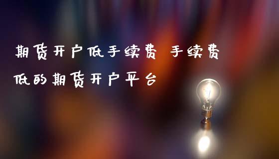 期货开户低手续费 手续费低的期货开户平台_https://www.londai.com_期货投资_第1张