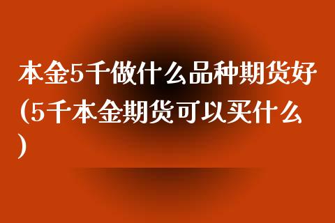 本金5千做什么品种期货好(5千本金期货可以买什么)_https://www.londai.com_期货投资_第1张