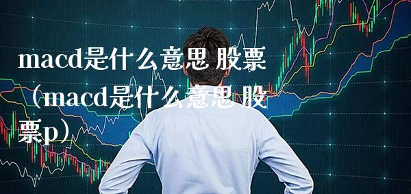 macd是什么意思 股票（macd是什么意思 股票p）_https://www.londai.com_期货投资_第1张