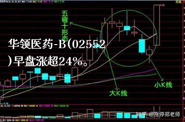 华领医药-B(02552)早盘涨超24%。_https://www.londai.com_股票投资_第1张