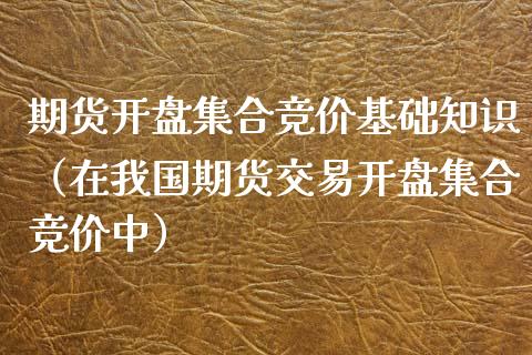 期货开盘集合竞价基础知识（在我国期货交易开盘集合竞价中）_https://www.londai.com_期货投资_第1张