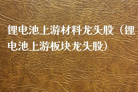 锂电池上游材料龙头股（锂电池上游板块龙头股）_https://www.londai.com_股票投资_第1张