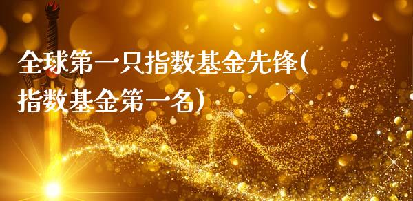 全球第一只指数基金先锋(指数基金第一名)_https://www.londai.com_基金理财_第1张