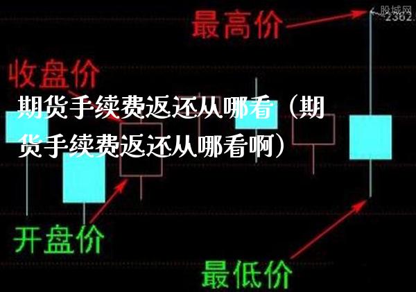 期货手续费返还从哪看（期货手续费返还从哪看啊）_https://www.londai.com_期货投资_第1张