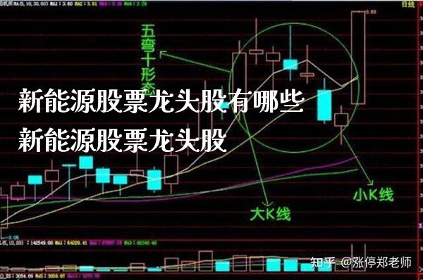 新能源股票龙头股有哪些 新能源股票龙头股_https://www.londai.com_股票投资_第1张