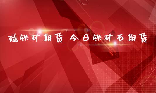 磁铁矿期货 今日铁矿石期货_https://www.londai.com_期货投资_第1张