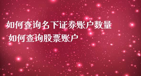 如何查询名券账户数量 如何查询股票账户_https://www.londai.com_股票投资_第1张