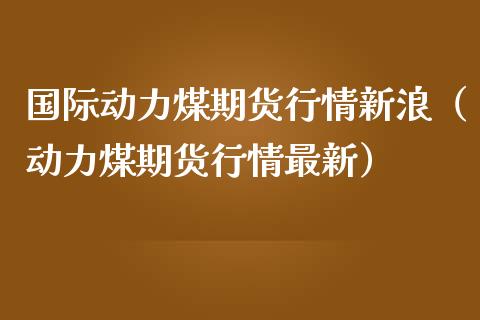 国际动力煤期货行情新浪（动力煤期货行情最新）_https://www.londai.com_期货投资_第1张