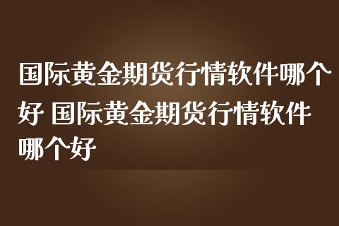 国际黄金期货行情软件哪个好 国际黄金期货行情软件哪个好_https://www.londai.com_期货投资_第1张