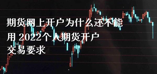 期货网上开户为什么还不能用 2022个人期货开户交易要求_https://www.londai.com_期货投资_第1张