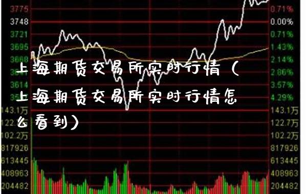 上海期货交易所实时行情（上海期货交易所实时行情怎么看到）_https://www.londai.com_期货投资_第1张