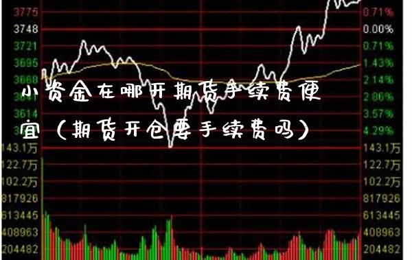 小资金在哪开期货手续费便宜（期货开仓要手续费吗）_https://www.londai.com_期货投资_第1张