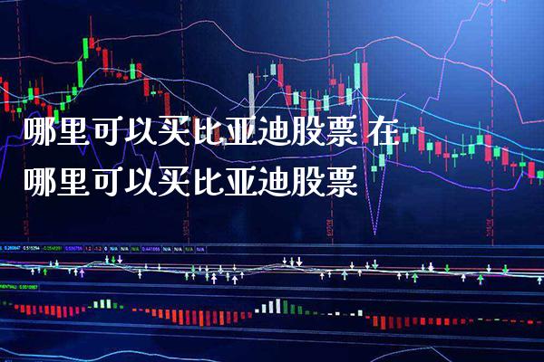 哪里可以买比亚迪股票 在哪里可以买比亚迪股票_https://www.londai.com_股票投资_第1张