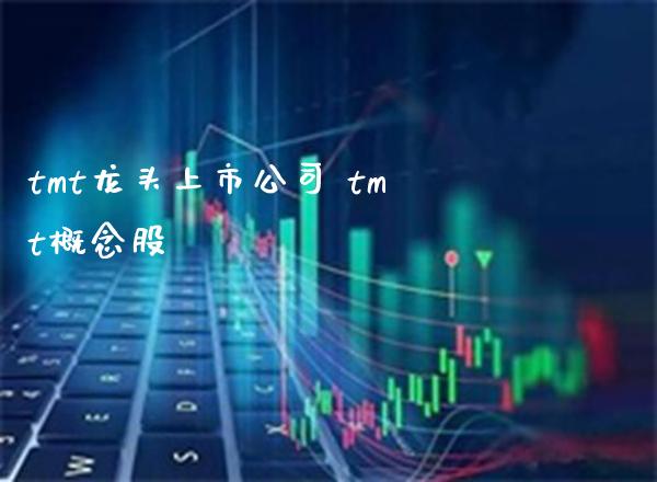 tmt龙头上市公司 tmt概念股_https://www.londai.com_股票投资_第1张