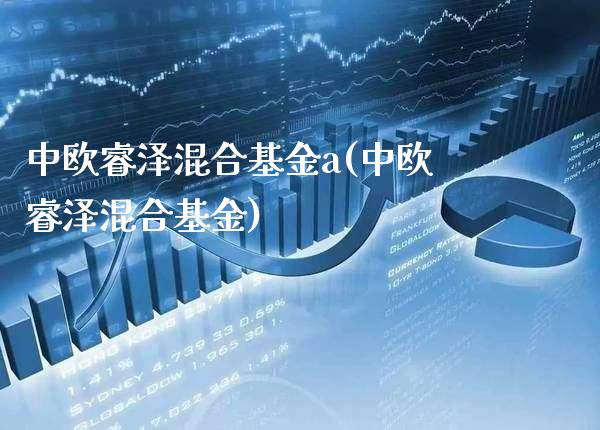 中欧睿泽混合基金a(中欧睿泽混合基金)_https://www.londai.com_基金理财_第1张