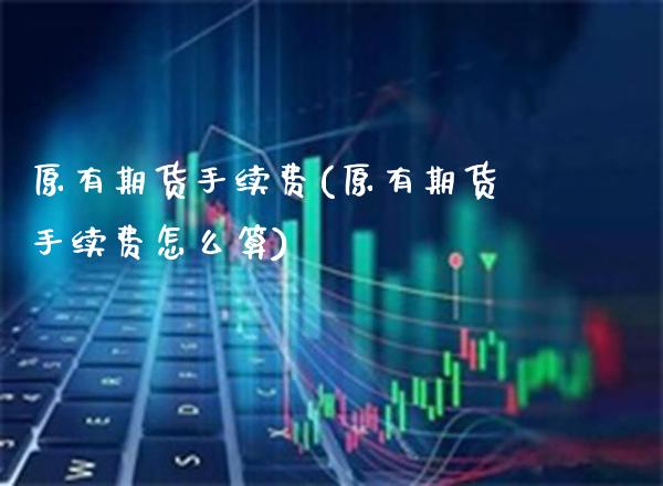 原有期货手续费(原有期货手续费怎么算)_https://www.londai.com_期货投资_第1张