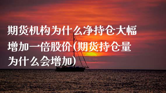 期货机构为什么净持仓大幅增加一倍股价(期货持仓量为什么会增加)_https://www.londai.com_股票投资_第1张