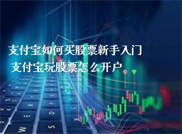 支付宝如何买股票新手入门 支付宝玩股票怎么开户_https://www.londai.com_股票投资_第1张