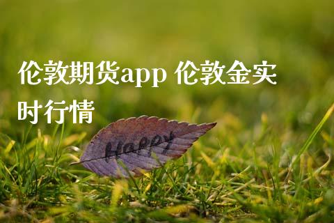 伦敦期货app 伦敦金实时行情_https://www.londai.com_期货投资_第1张