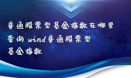 普通股票型基金指数在哪里查询 wind普通股票型基金指数_https://www.londai.com_基金理财_第1张