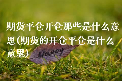 期货平仓开仓那些是什么意思(期货的开仓平仓是什么意思)_https://www.londai.com_期货投资_第1张