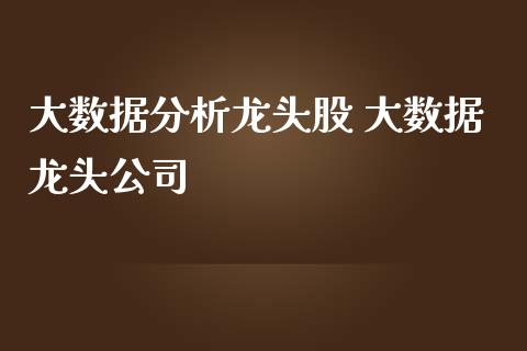 大数据分析龙头股 大数据龙头公司_https://www.londai.com_股票投资_第1张