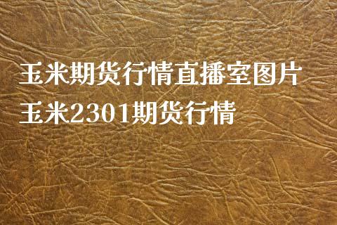 玉米期货行情直播室图片 玉米2301期货行情_https://www.londai.com_期货投资_第1张