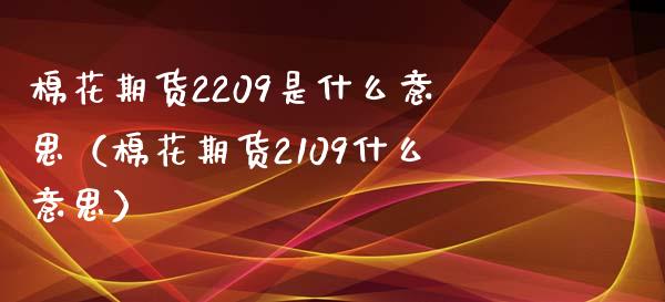 棉花期货2209是什么意思（棉花期货2109什么意思）_https://www.londai.com_期货投资_第1张