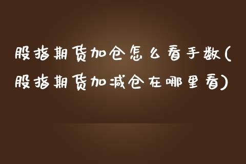 股指期货加仓怎么看手数(股指期货加减仓在哪里看)_https://www.londai.com_期货投资_第1张