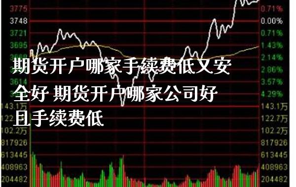 期货开户哪家手续费低又安全好 期货开户哪家公司好且手续费低_https://www.londai.com_期货投资_第1张