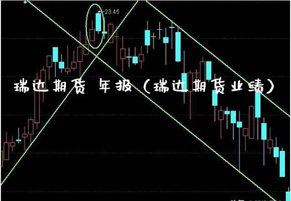 瑞达期货 年报（瑞达期货业绩）_https://www.londai.com_期货投资_第1张