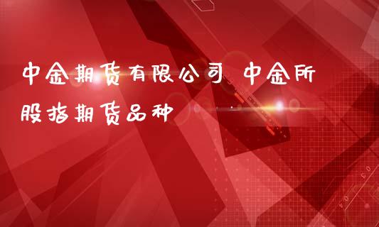 中金期货有限公司 中金所股指期货品种_https://www.londai.com_期货投资_第1张