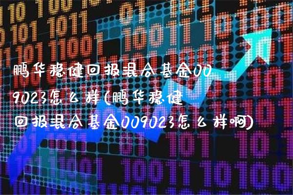 鹏华稳健回报混合基金009023怎么样(鹏华稳健回报混合基金009023怎么样啊)_https://www.londai.com_基金理财_第1张