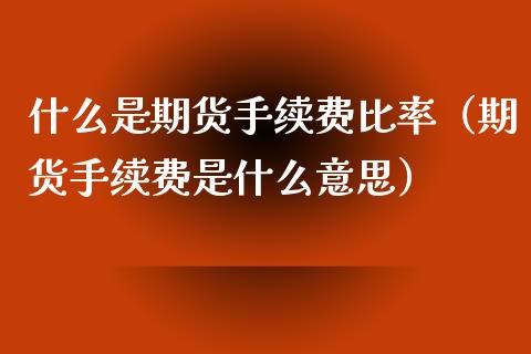 什么是期货手续费比率（期货手续费是什么意思）_https://www.londai.com_期货投资_第1张