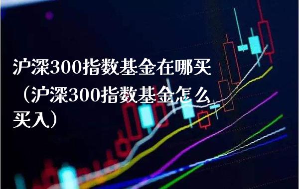 沪深300指数基金在哪买（沪深300指数基金怎么买入）_https://www.londai.com_期货投资_第1张