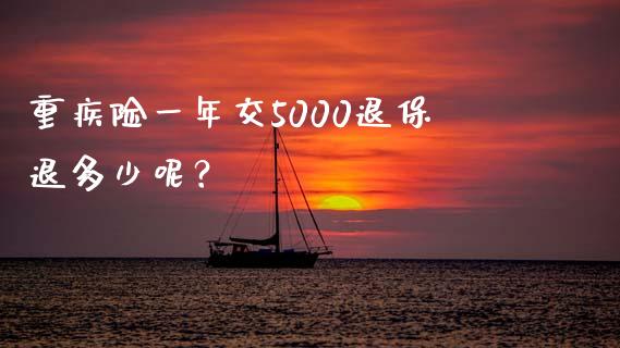 重疾险一年交5000退保退多少呢？_https://www.londai.com_保险理财_第1张