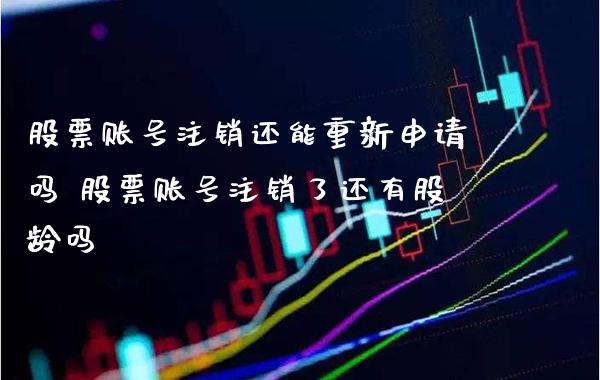 股票账号注销还能重新申请吗 股票账号注销了还有股龄吗_https://www.londai.com_股票投资_第1张