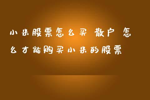 小米股票怎么买 散户 怎么才能购买小米的股票_https://www.londai.com_股票投资_第1张