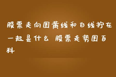 股票走向图黄线和白线拧在一起是什么 股票走势图百科_https://www.londai.com_股票投资_第1张