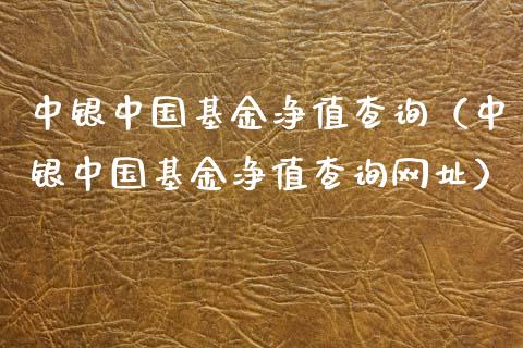 中银中国基金净值查询（中银中国基金净值查询网址）_https://www.londai.com_基金理财_第1张