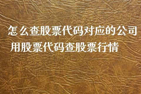 怎么查股票代码对应的公司 用股票代码查股票行情_https://www.londai.com_股票投资_第1张