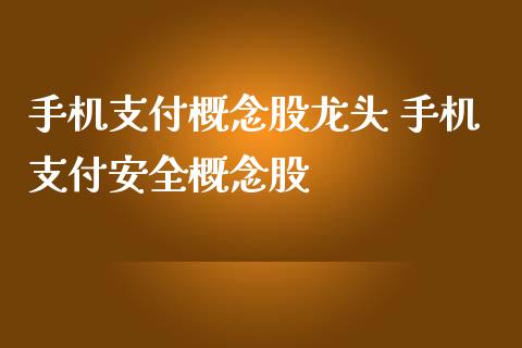 手机支付概念股龙头 手机支付安全概念股_https://www.londai.com_股票投资_第1张