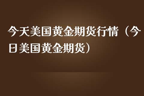 今天美国黄金期货行情（今日美国黄金期货）_https://www.londai.com_期货投资_第1张