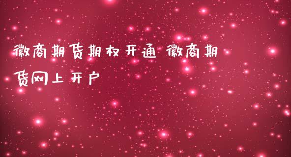 徽商期货期权开通 徽商期货网上开户_https://www.londai.com_期货投资_第1张